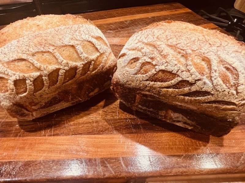 Small Artisan Sourdough