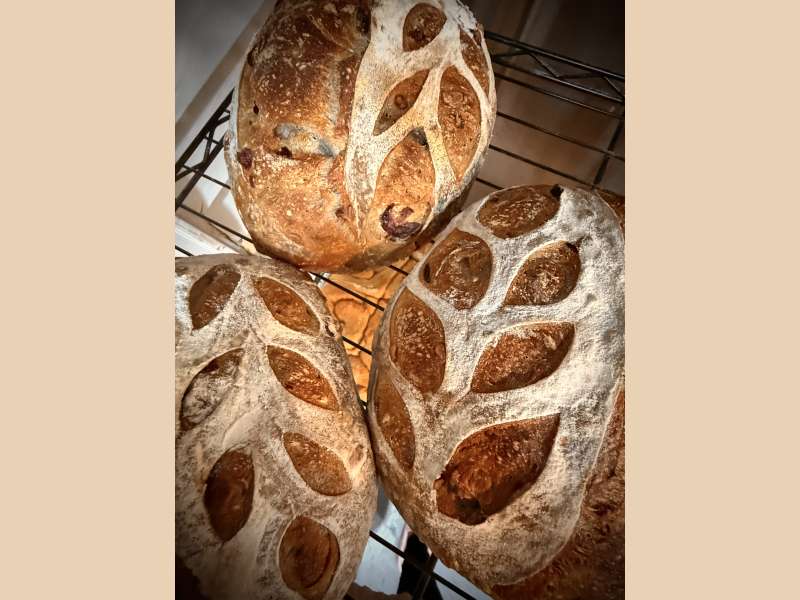 Artisan Cranberry Walnut Sourdough